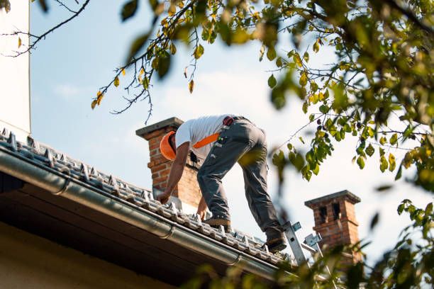 Best Roof Gutter Cleaning  in Volo, IL