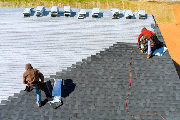 Best Metal Roofing Contractor  in Volo, IL