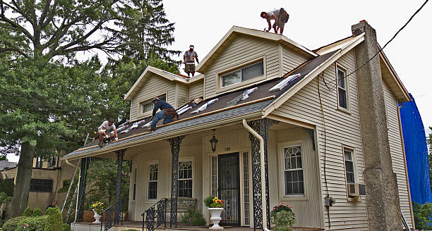 Professional Roofing Contractor in Volo, IL