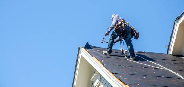 Best Storm Damage Roof Repair  in Volo, IL